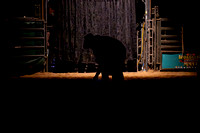 TJC_0012