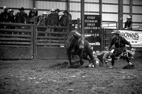 TJC_0377